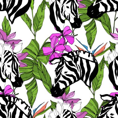 Vektör egzotik zebra izi izole edilmiş vahşi bir hayvan. Siyah beyaz işlemeli mürekkep sanatı. Kusursuz arkaplan deseni.