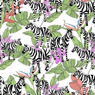 Vektör egzotik zebra izi izole edilmiş vahşi bir hayvan. Siyah beyaz işlemeli mürekkep sanatı. Kusursuz arkaplan deseni.