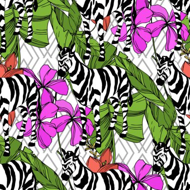 Vektör egzotik zebra izi izole edilmiş vahşi bir hayvan. Siyah beyaz işlemeli mürekkep sanatı. Kusursuz arkaplan deseni.