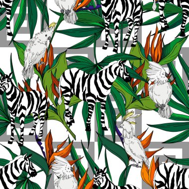 Vektör egzotik zebra izi izole edilmiş vahşi bir hayvan. Siyah beyaz işlemeli mürekkep sanatı. Kusursuz arkaplan deseni.