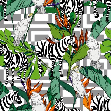Vektör egzotik zebra izi izole edilmiş vahşi bir hayvan. Siyah beyaz işlemeli mürekkep sanatı. Kusursuz arkaplan deseni.