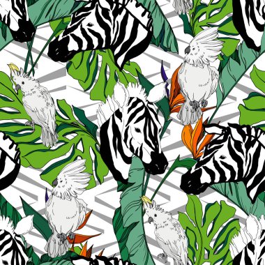 Vektör egzotik zebra izi izole edilmiş vahşi bir hayvan. Siyah beyaz işlemeli mürekkep sanatı. Kusursuz arkaplan deseni.