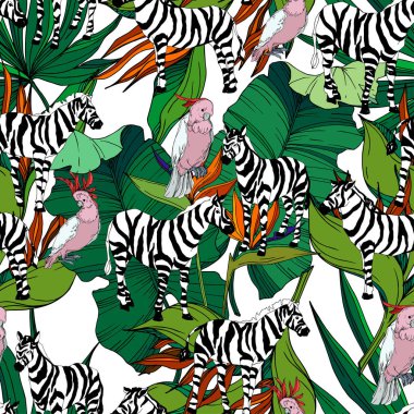 Vektör egzotik zebra izi izole edilmiş vahşi bir hayvan. Siyah beyaz işlemeli mürekkep sanatı. Kusursuz arkaplan deseni.