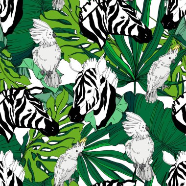 Vektör egzotik zebra izi izole edilmiş vahşi bir hayvan. Siyah beyaz işlemeli mürekkep sanatı. Kusursuz arkaplan deseni.