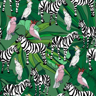 Vektör egzotik zebra izi izole edilmiş vahşi bir hayvan. Siyah beyaz işlemeli mürekkep sanatı. Kusursuz arkaplan deseni.