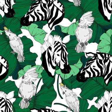 Vektör egzotik zebra izi izole edilmiş vahşi bir hayvan. Siyah beyaz işlemeli mürekkep sanatı. Kusursuz arkaplan deseni.