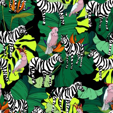Vektör egzotik zebra izi izole edilmiş vahşi bir hayvan. Siyah beyaz işlemeli mürekkep sanatı. Kusursuz arkaplan deseni.