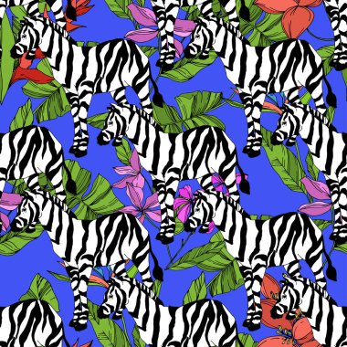 Vektör egzotik zebra izi izole edilmiş vahşi bir hayvan. Siyah beyaz işlemeli mürekkep sanatı. Kusursuz arkaplan deseni.