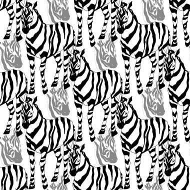 Vector Exotic zebra print wild animal isolated. Black and white engraved ink art. Seamless background pattern. clipart