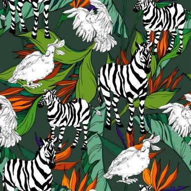 Vektör egzotik zebra izi izole edilmiş vahşi bir hayvan. Siyah beyaz işlemeli mürekkep sanatı. Kusursuz arkaplan deseni.