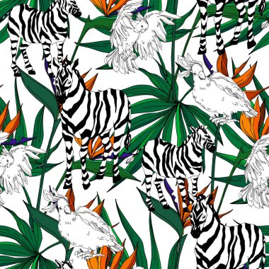 Vektör egzotik zebra izi izole edilmiş vahşi bir hayvan. Siyah beyaz işlemeli mürekkep sanatı. Kusursuz arkaplan deseni.