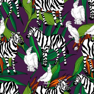 Vektör egzotik zebra izi izole edilmiş vahşi bir hayvan. Siyah beyaz işlemeli mürekkep sanatı. Kusursuz arkaplan deseni.