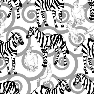 Vektör egzotik zebra izi izole edilmiş vahşi bir hayvan. Siyah beyaz işlemeli mürekkep sanatı. Kusursuz arkaplan deseni.