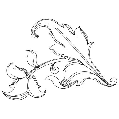 Vektör Barok baş harfleri çiçek süsü. Siyah beyaz işlemeli mürekkep sanatı. İzole edilmiş süsler resimleme ögesi.