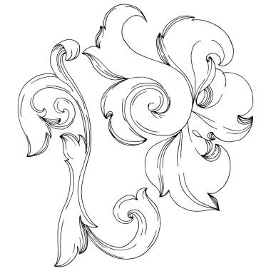 Vektör Barok baş harfleri çiçek süsü. Siyah beyaz işlemeli mürekkep sanatı. İzole edilmiş süsler resimleme ögesi.
