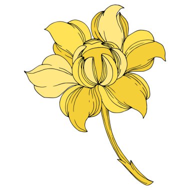 Vektör Altın Monogram Çiçek Süsü. Siyah beyaz işlemeli mürekkep sanatı. İzole edilmiş monogram çizim ögesi.