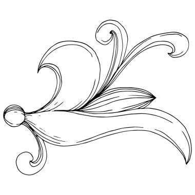Vektör Barok baş harfleri çiçek süsü. Siyah beyaz işlemeli mürekkep sanatı. İzole edilmiş monogram illüstrasyon ögesi.