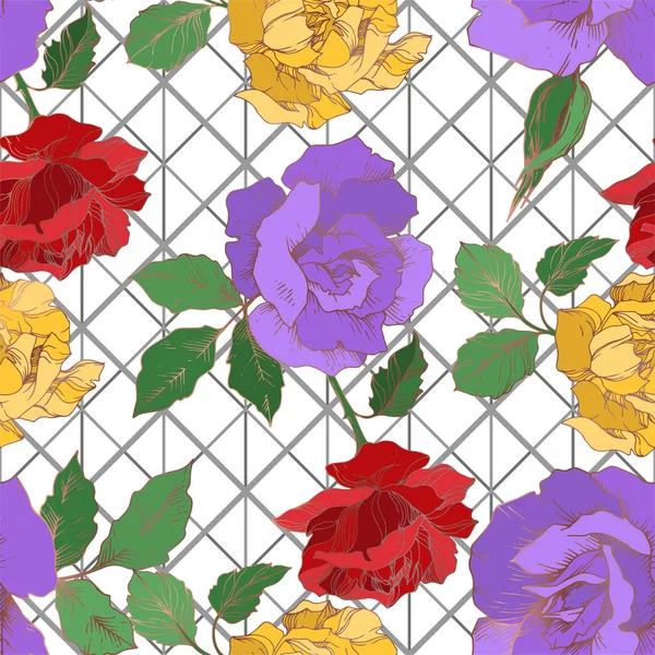 Vector Rose flores botánicas florales. Tinta grabada en blanco y negro. Patrón de fondo sin costuras . — Vector de stock