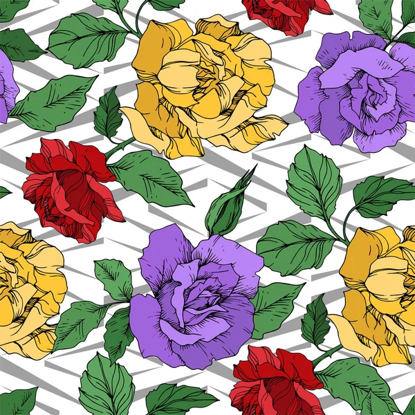 Vector Fleurs botaniques florales roses. Encre gravée en noir et blanc. Modèle de fond sans couture . — Image vectorielle