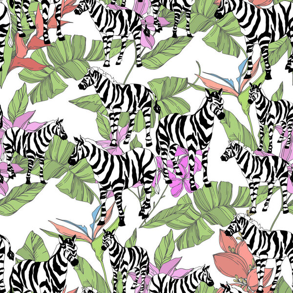 Векторная экзотическая зебра печатает дикое животное изолировано. Черно-белый рисунок чернил. Бесшовный рисунок фона
.