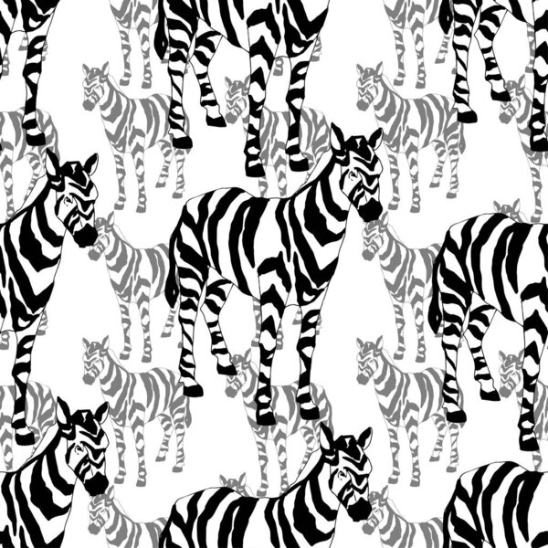 Vector Exotic zebra print wild animal isolated. Black and white engraved ink art. Seamless background pattern.