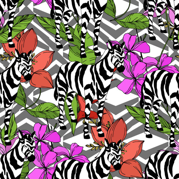 Vector Exotic zebra print wild animal isolated. Black and white engraved ink art. Seamless background pattern.