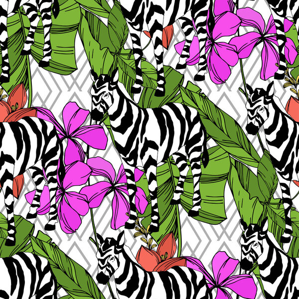 Векторная экзотическая зебра печатает дикое животное изолировано. Черно-белый рисунок чернил. Бесшовный рисунок фона
.