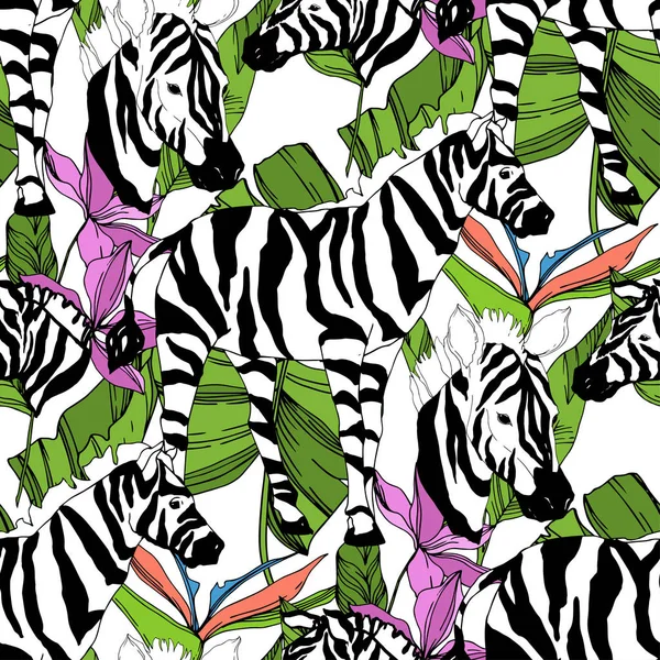 Vector Exotic zebra print wild animal isolated. Black and white engraved ink art. Seamless background pattern. — Stock Vector