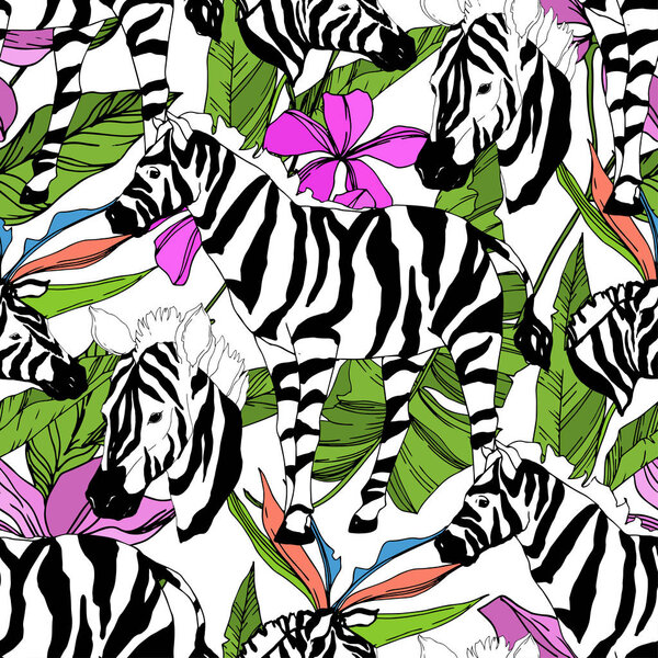 Vector Exotic zebra print wild animal isolated. Black and white engraved ink art. Seamless background pattern.