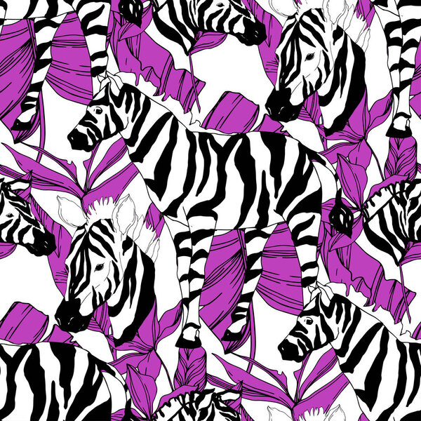 Vector Exotic zebra print wild animal isolated. Black and white engraved ink art. Seamless background pattern.