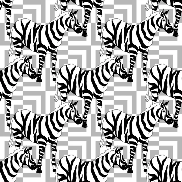 Vektor Exotisk zebra skriva ut vilda djur isolerade. Svart och vit graverad bläckkonst. Sömlös bakgrund mönster. — Stock vektor