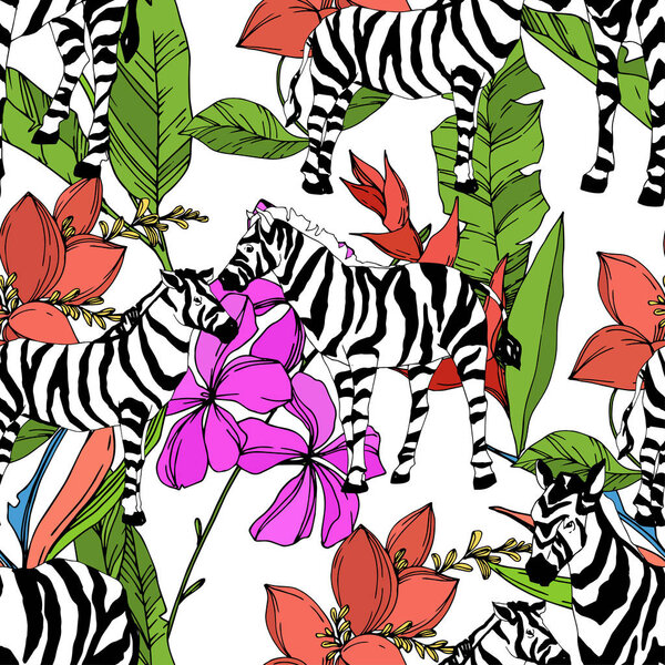 Векторная экзотическая зебра печатает дикое животное изолировано. Черно-белый рисунок чернил. Бесшовный рисунок фона
.