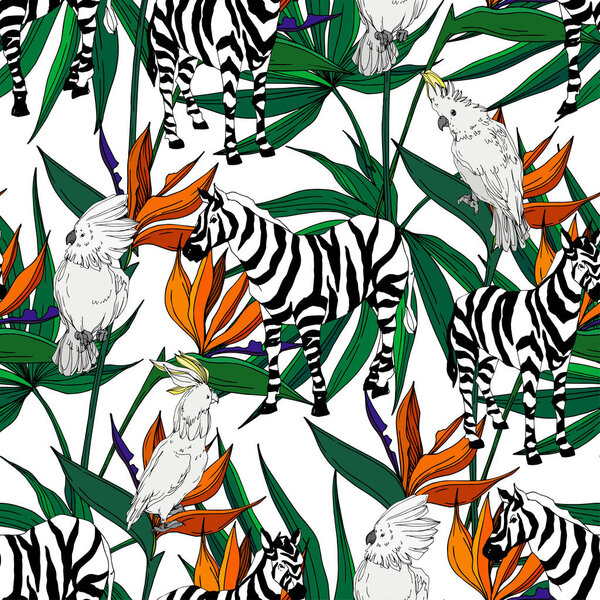 Vector Exotic zebra print wild animal isolated. Black and white engraved ink art. Seamless background pattern.