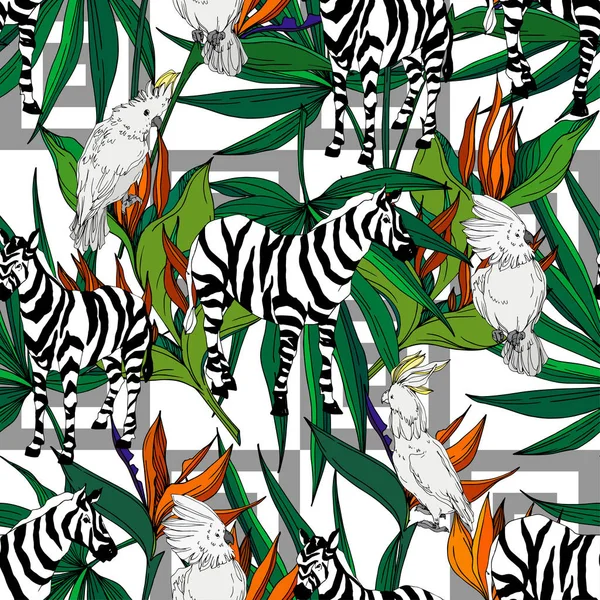 Vettore Zebra esotica stampa animale selvatico isolato. Inchiostro inciso in bianco e nero art. Modello di sfondo senza soluzione di continuità . — Vettoriale Stock