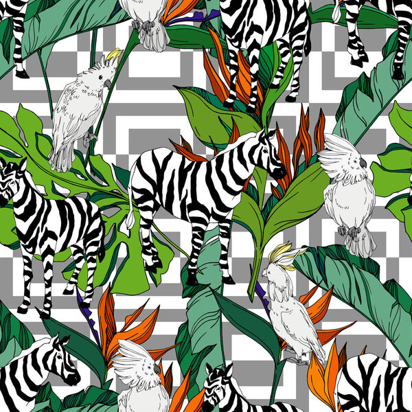 Vector Exotic zebra print wild animal isolated. Black and white engraved ink art. Seamless background pattern.