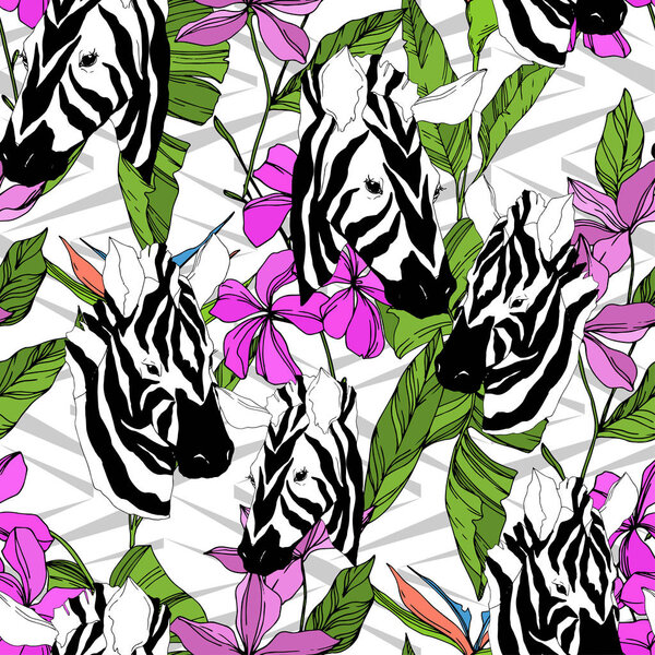 Векторная экзотическая зебра печатает дикое животное изолировано. Черно-белый рисунок чернил. Бесшовный рисунок фона
.