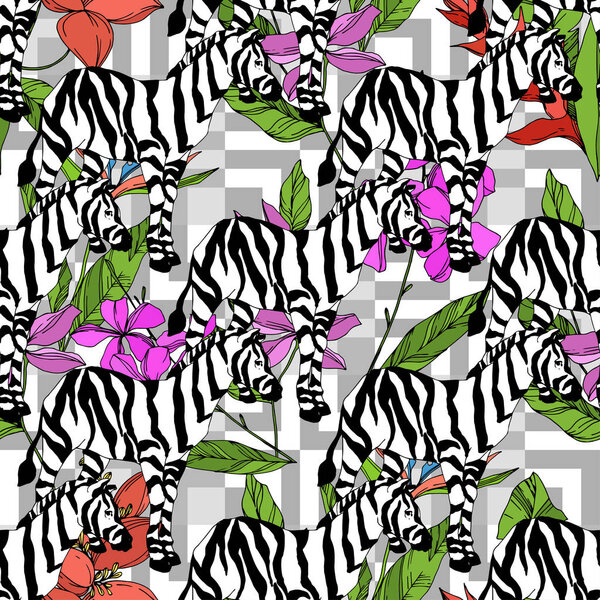 Vector Exotic zebra print wild animal isolated. Black and white engraved ink art. Seamless background pattern.