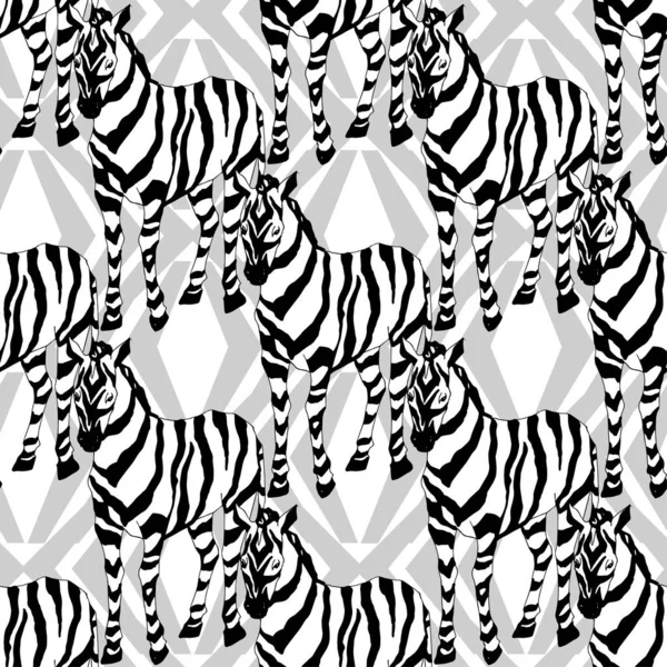 Vektor Zebra eksotis mencetak hewan liar terisolasi. Seni tinta berukiran hitam dan putih. Pola latar belakang mulus . - Stok Vektor