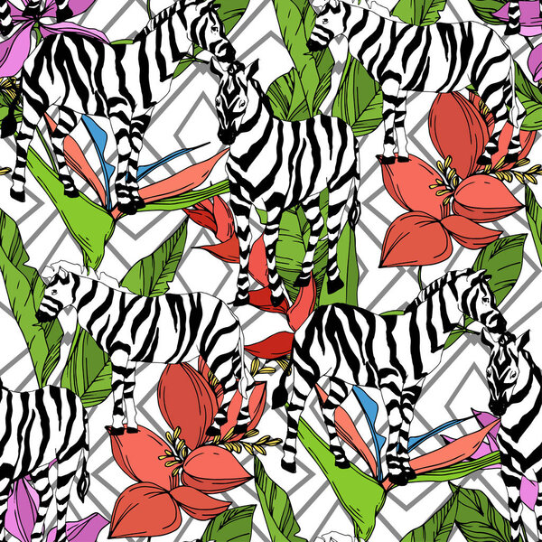 Векторная экзотическая зебра печатает дикое животное изолировано. Черно-белый рисунок чернил. Бесшовный рисунок фона
.