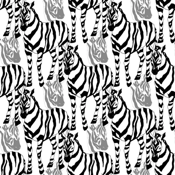 Vector Exotic zebra print wild animal isolated. Black and white engraved ink art. Seamless background pattern. — Stock Vector