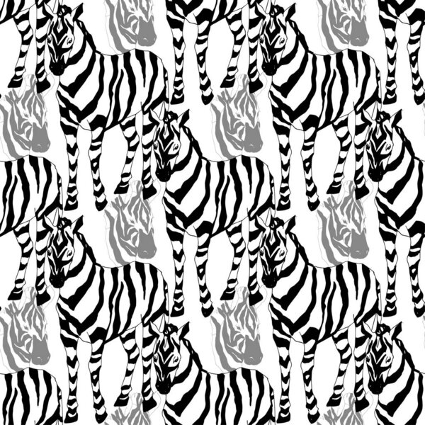 Векторная экзотическая зебра печатает дикое животное изолировано. Черно-белый рисунок чернил. Бесшовный рисунок фона
.