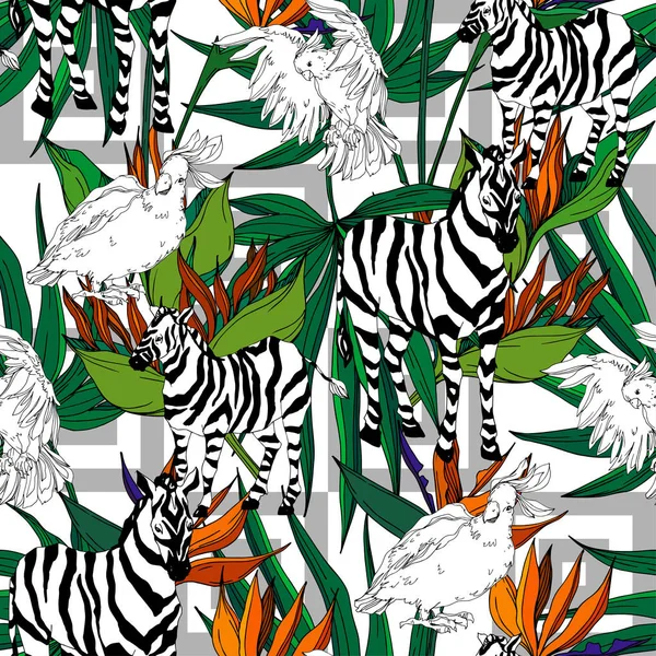 Vektor Exotisk zebra skriva ut vilda djur isolerade. Svart och vit graverad bläckkonst. Sömlös bakgrund mönster. — Stock vektor