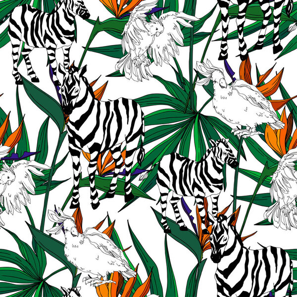 Vector Exotic zebra print wild animal isolated. Black and white engraved ink art. Seamless background pattern.