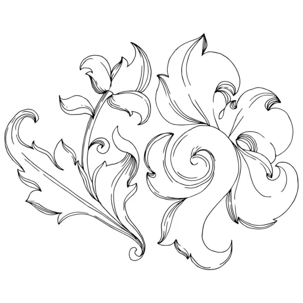 Vector barroco monograma ornamento floral. Tinta grabada en blanco y negro. Elemento ilustrativo de ornamentos aislados . — Archivo Imágenes Vectoriales