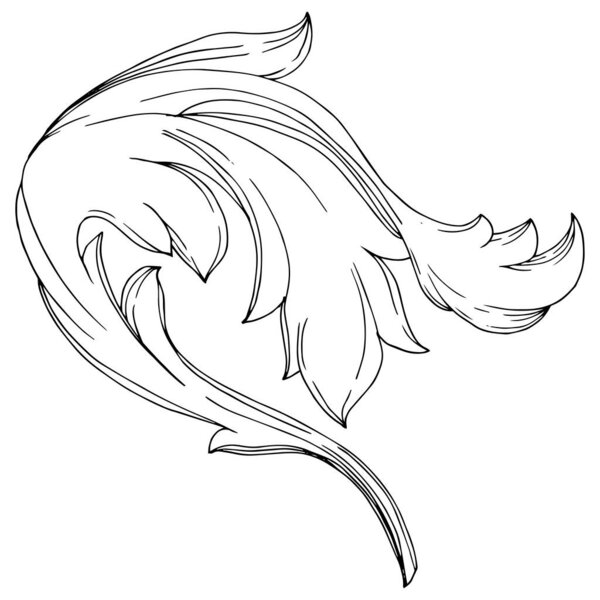 Цветочный орнамент векторной золотой монограммы. Черно-белый рисунок чернил. Изолированный элемент иллюстрации орнаментов
.