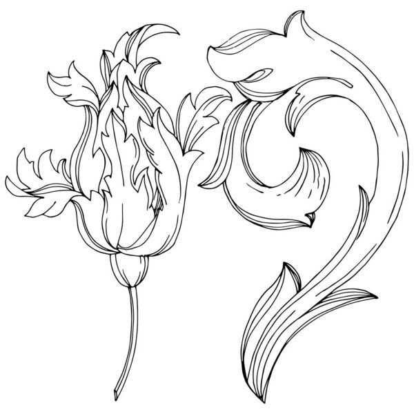 Vector Baroque monogram floral ornament. Black and white engraved ink art. Isolated monogram illustration element.
