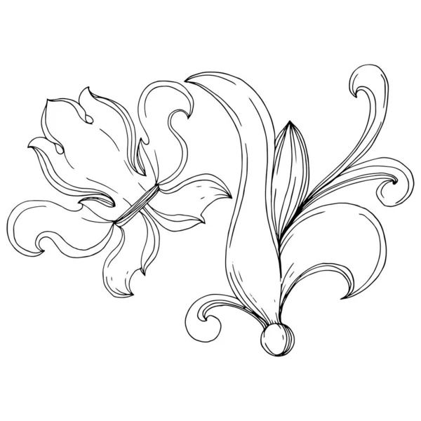 Vector barroco monograma ornamento floral. Tinta grabada en blanco y negro. Elemento ilustrativo monograma aislado . — Vector de stock