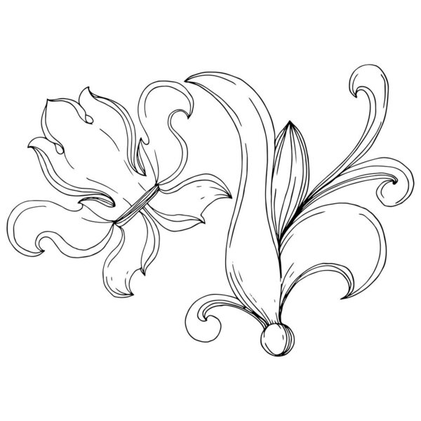 Vector Baroque monogram floral ornament. Black and white engraved ink art. Isolated monogram illustration element.
