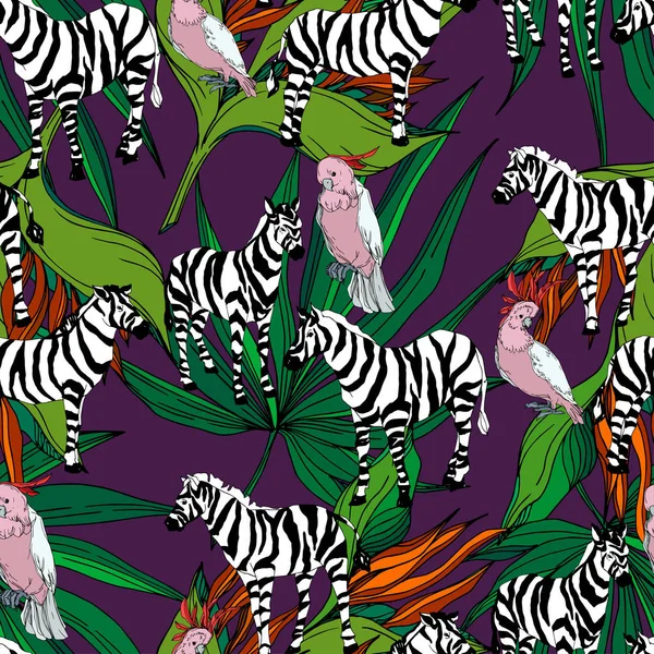 Vetor zebra exótica imprimir animal selvagem isolado. Tinta gravada a preto e branco. Padrão de fundo sem costura . — Vetor de Stock