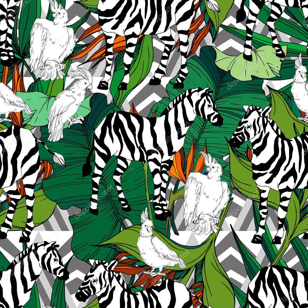 Vector Exotic zebra print wild animal isolated. Black and white engraved ink art. Seamless background pattern.